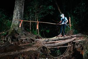 BIB: 
                            <button type="button" onclick="openModal(27364073)" class="btn btn-primary btn-sm float-right btn-popup" data-toggle="modal" data-target=".modal-high-quality">
                        <i class="fas fa-shopping-cart"></i> Add to Cart
                    </button>
                                            <button type="button" onclick="isThisMe(27364073, true)" class="btn btn-success btn-sm float-right btn-popup btn-isme hidden" data-toggle="tooltip" data-placement="bottom" title="นี่คือรูปของคุณใช่ไหม คลิกที่นี่เพื่อเอาเข้าอัลบั้ม">
                        <i class="fas fa-plus"></i> Add to album
                    </button>
                    <button type="button" onclick="isThisMe(27364073, false)" class="btn btn-warning btn-sm float-right btn-popup btn-isnotme hidden">
                        <i class="fas fa-ban"></i> Remove from album
                    </button>